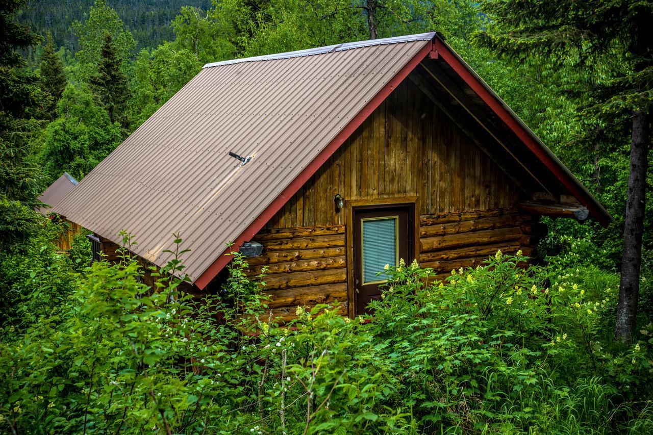 Midnight Sun Log Cabins Moose Pass 외부 사진