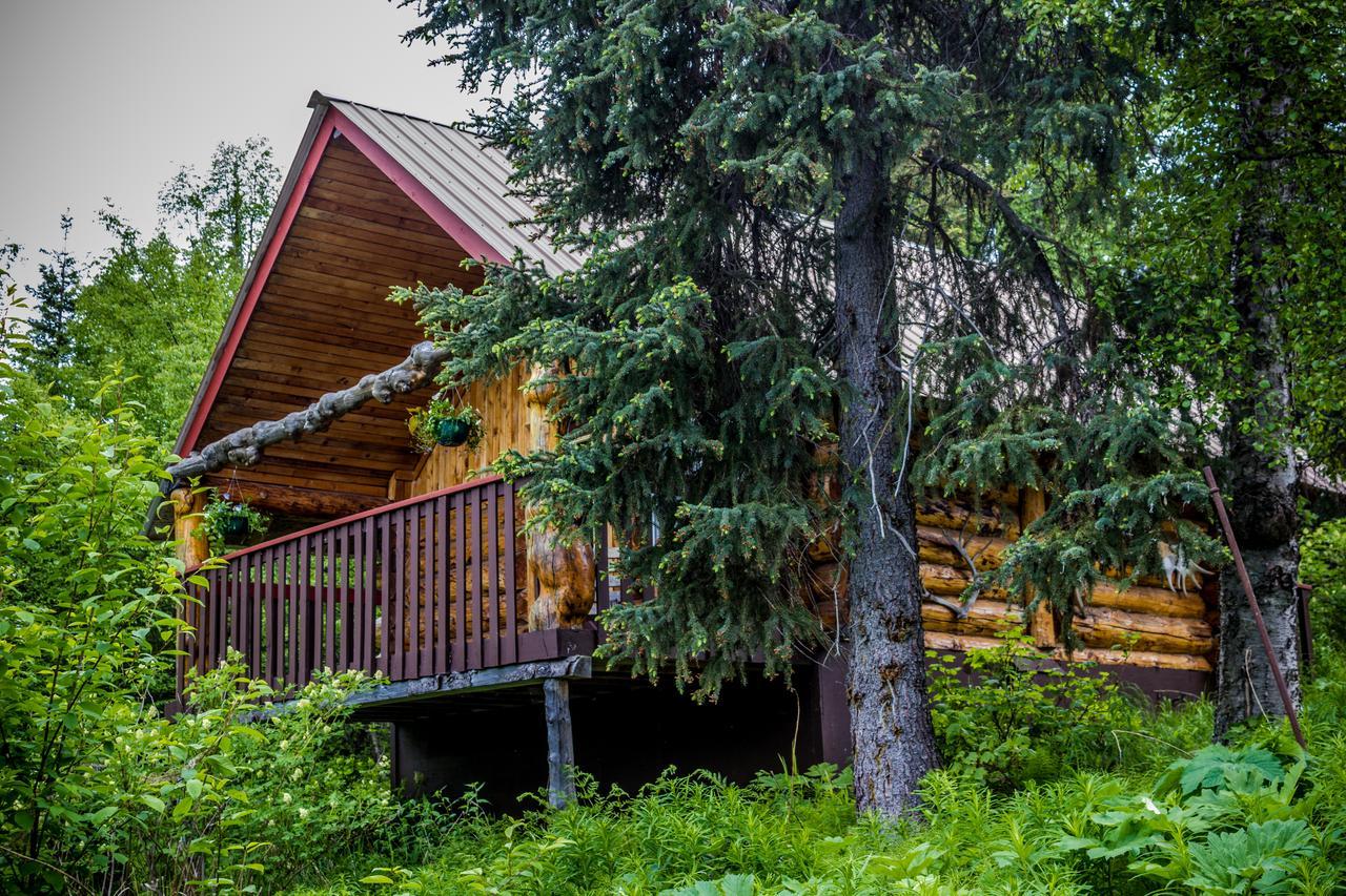 Midnight Sun Log Cabins Moose Pass 외부 사진