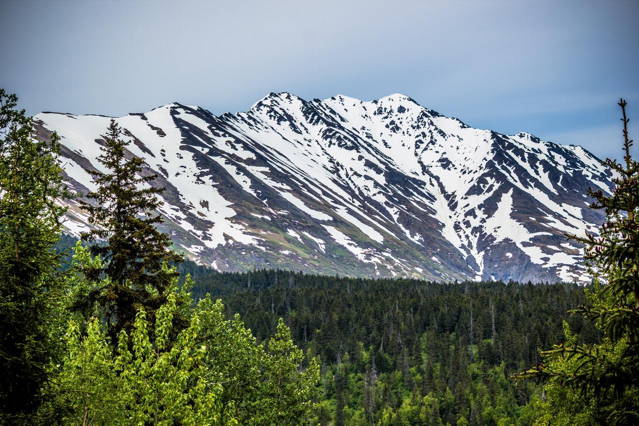 Midnight Sun Log Cabins Moose Pass 외부 사진