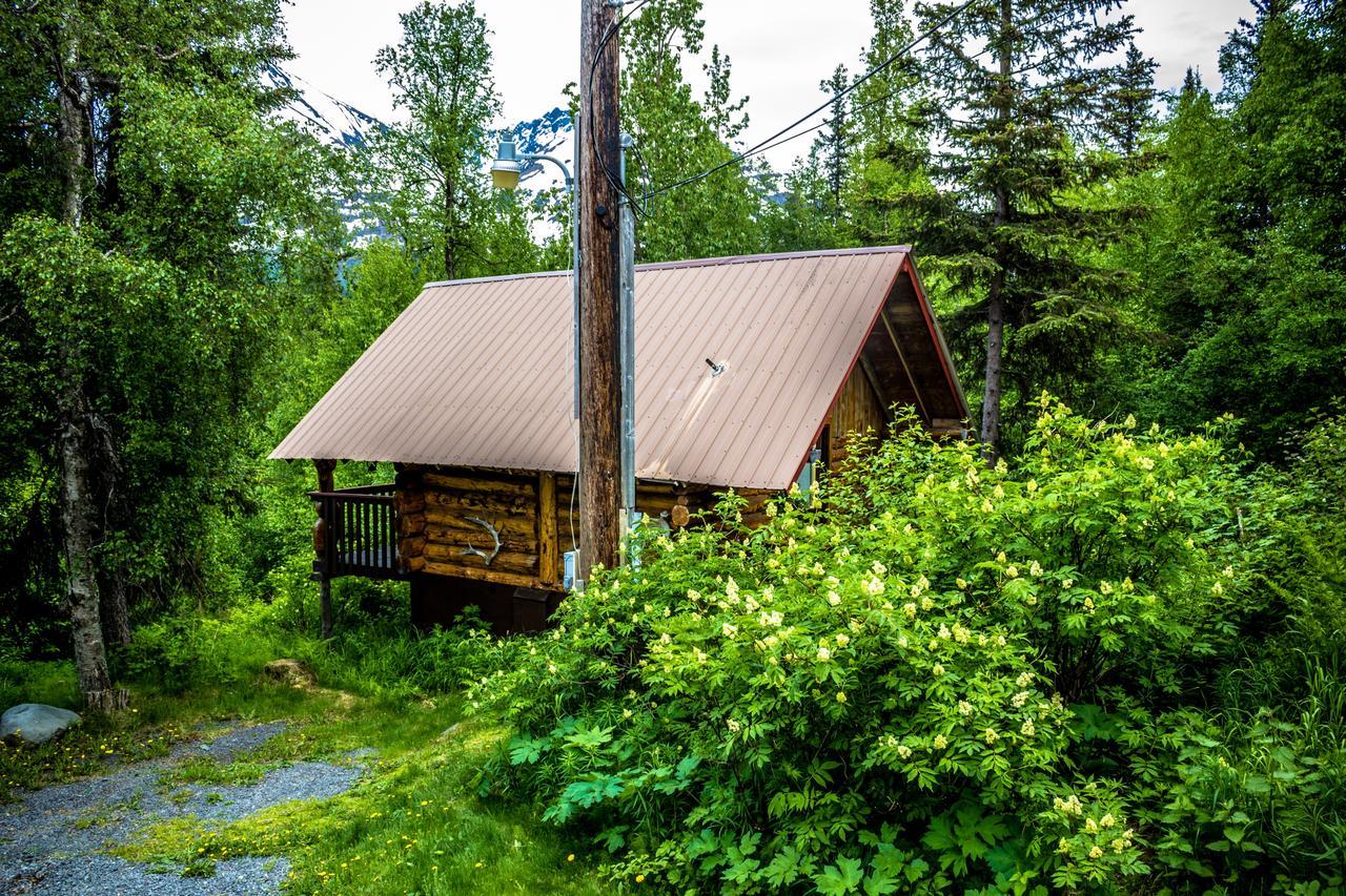 Midnight Sun Log Cabins Moose Pass 외부 사진