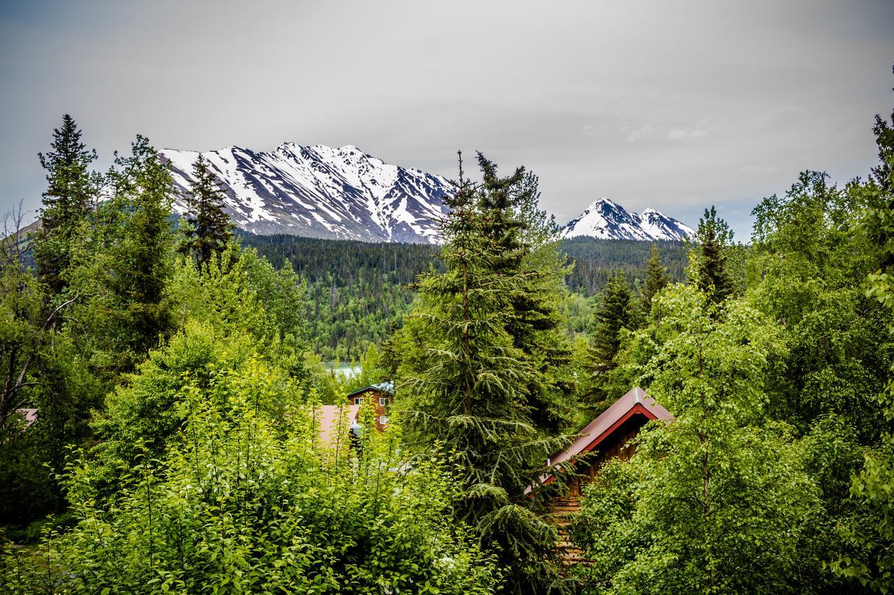 Midnight Sun Log Cabins Moose Pass 외부 사진